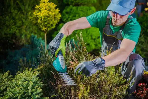 landscaping services White Cloud